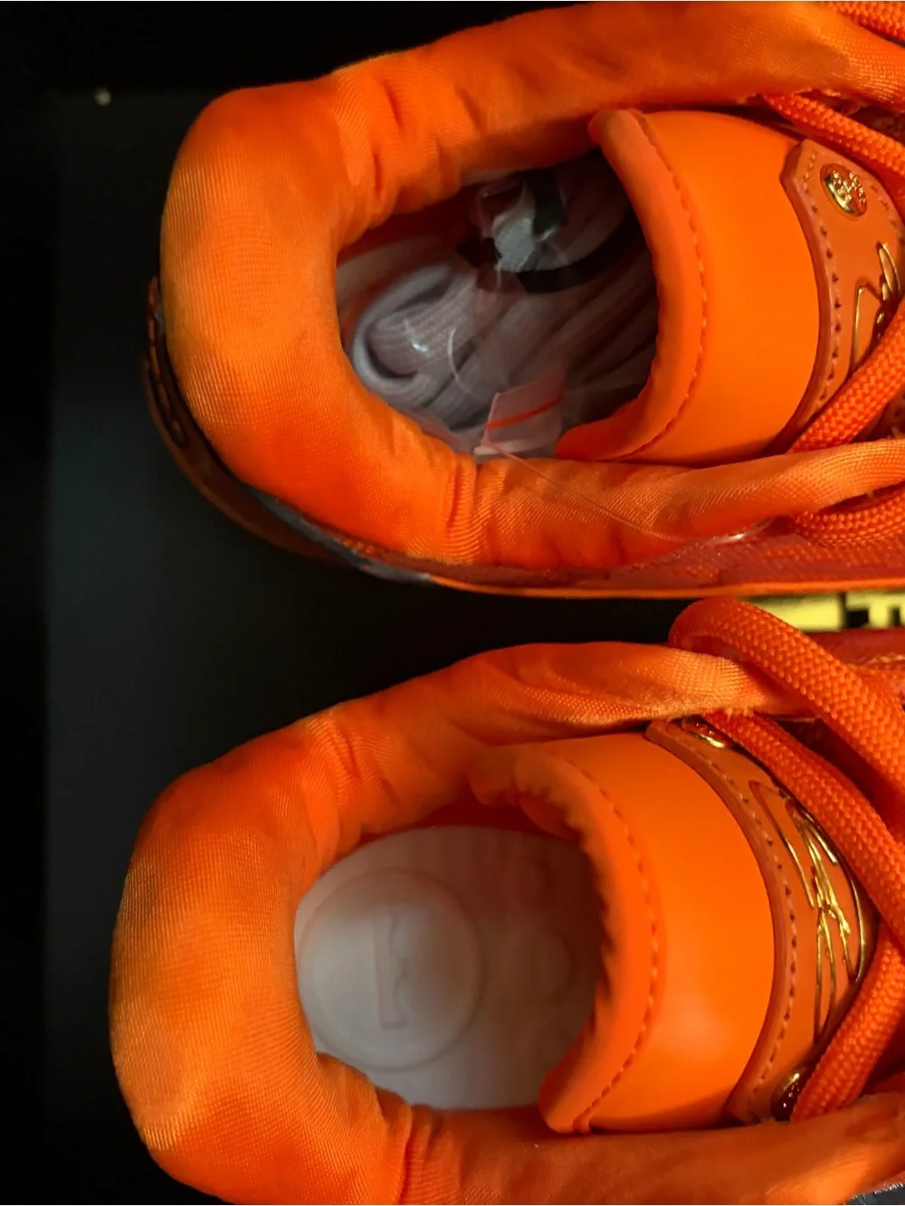 Size - 8 Nike LeBron 23 shoe bag (translucent outsole)